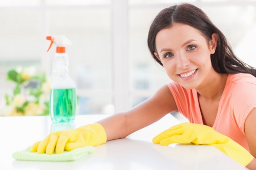 Professional carpet cleaning in a Battersea home