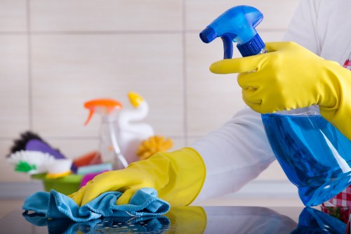 Professional Battersea carpet cleaning in a bright living room