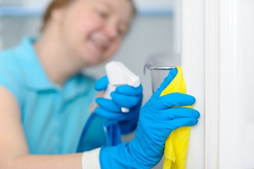 Carpet cleaning service terms and conditions introduction