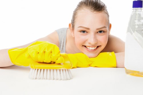 Deep cleaning a rug in Battersea to remove dirt and stains