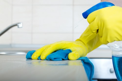 Deep mattress cleaning equipment used in Battersea