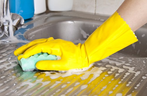 Professional pet stain treatment for carpets in Battersea