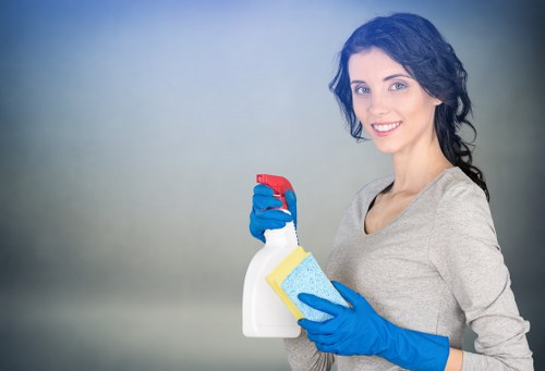 Steam cleaning equipment for Battersea carpets